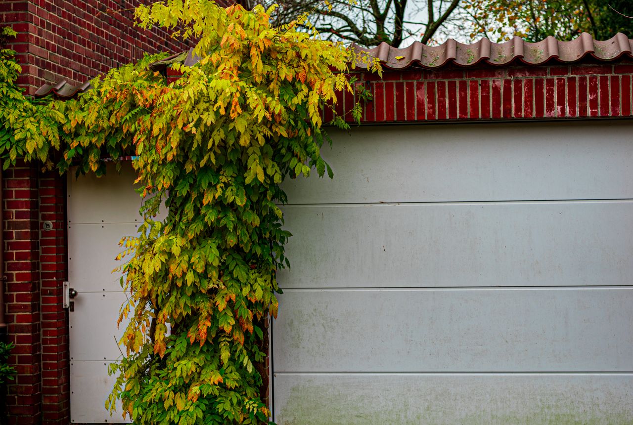 Garage door service in Elyria, OH
